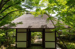 Jojakko-ji Temple