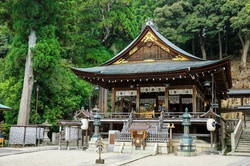 Drive along Lake Biwa to Himure Hachiman-gu Shrine