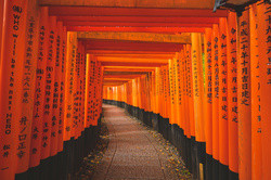 Fushimi-inari Taisha Shrine