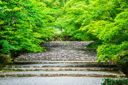 Nison-in Temple