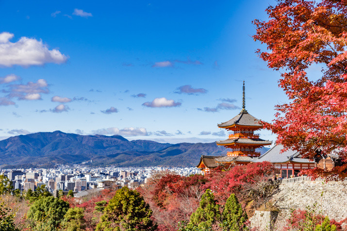 Half-day (AM) Eastern Kyoto Tour: Always the Most Popular Tourist Destinations