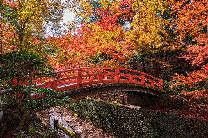 Half-day (AM) Kyoto Tour: Academic Success Shrine and Geisha District