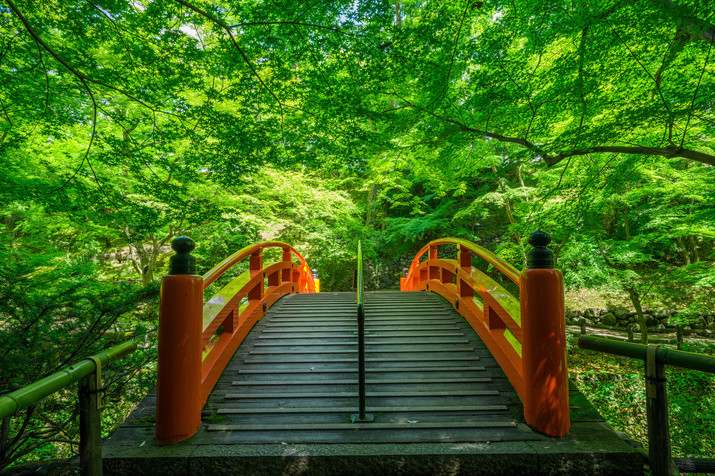 Half-day (AM) Kyoto Tour: Academic Success Shrine and Geisha District