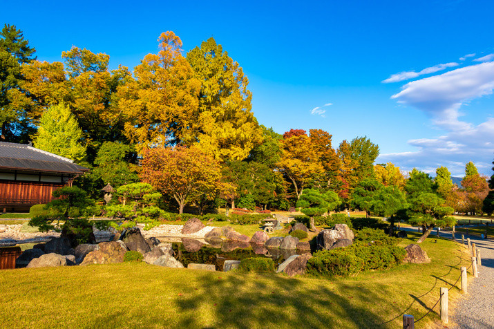 Half-day (AM) Kyoto Tour: Castle and Imperial Palace Exploration