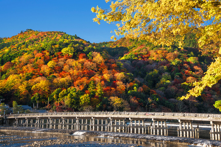 Half-day  (AM) Western Kyoto Tour: Ancient Time Nobles Resort and Bamboo Forest