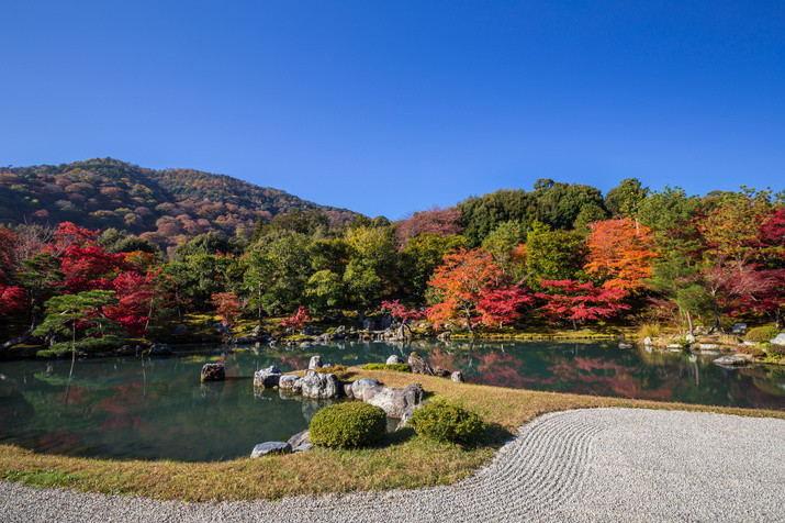 Half-day  (AM) Western Kyoto Tour: Ancient Time Nobles Resort and Bamboo Forest