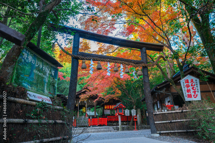 Half-day  (AM) Western Kyoto Tour: Ancient Time Nobles Resort and Bamboo Forest