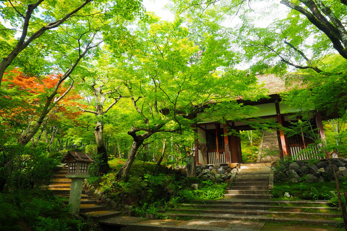 Morning Western Kyoto Tour: Ancient Time Nobles Resort and Bamboo Forest