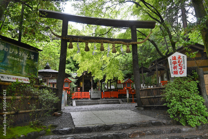 Morning Western Kyoto Tour: Ancient Time Nobles Resort and Bamboo Forest