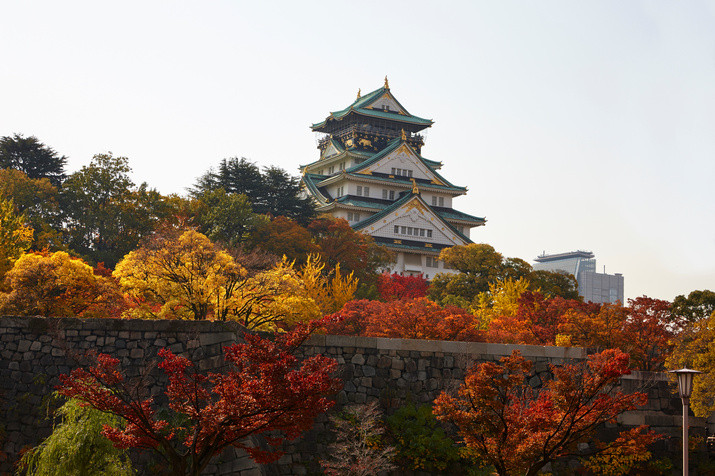 1-day Osaka Timeless Past and Thriving Present Tour: From Spiritual Base to Skyscraper