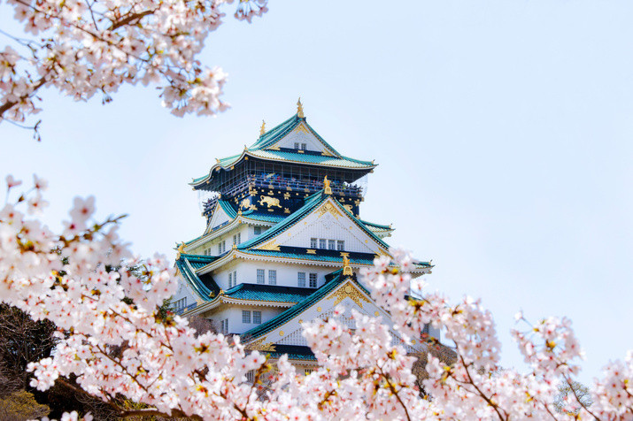 1-day Osaka Timeless Past and Thriving Present Tour: From Spiritual Base to Skyscraper