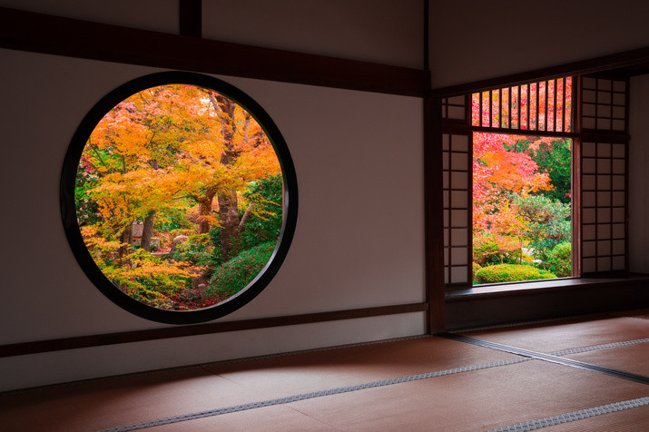 1-day Kyoto Tour: Shrine, Geisha District and Hidden-gem Temples