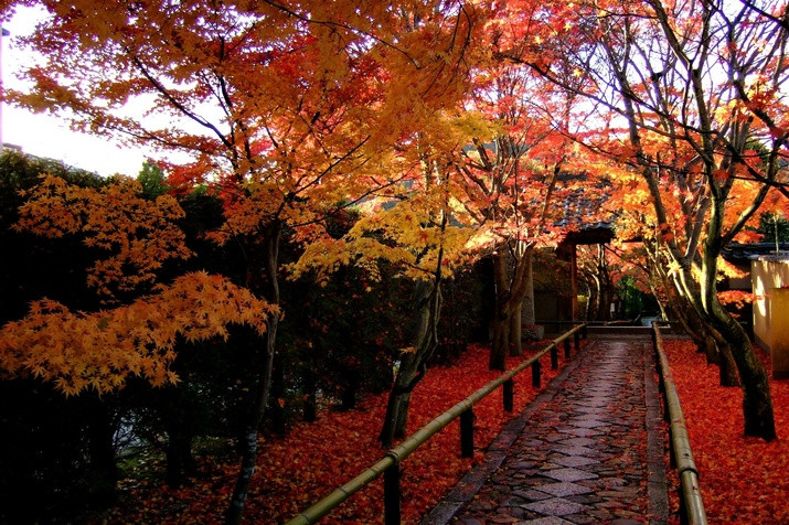 1-day Kyoto Tour: Shrine, Geisha District and Hidden-gem Temples