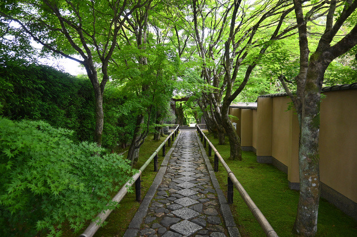 1-day Kyoto Tour: Shrine, Geisha District and Hidden-gem Temples