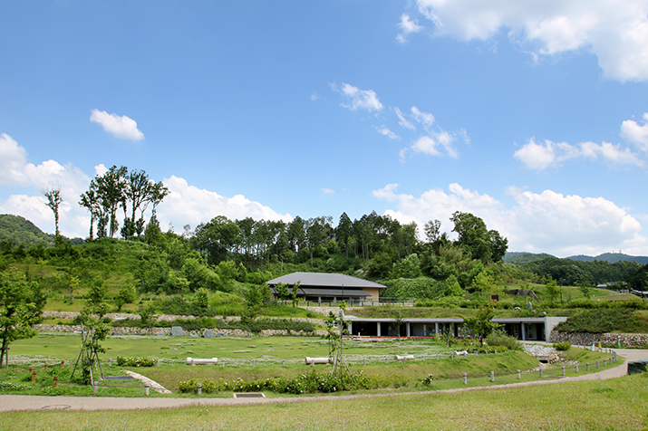 1-day Timeless Asuka-mura Village Tour: Ancient Tumuli and Rice Terrace