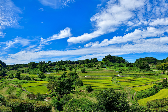 1-day Timeless Asuka-mura Village Tour: Ancient Tumuli and Rice Terrace