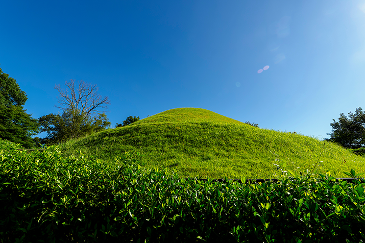 1-day Timeless Asuka-mura Village Tour: Ancient Tumuli and Rice Terrace