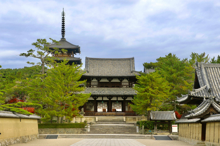 Half-day (AM) Ancient Nara Tour: Journey to Millenium-long Legacy Temple