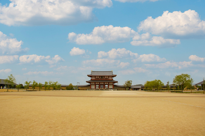 Half-day (AM) Western Nara Tour: World Heritage Temples and Former Capital Site