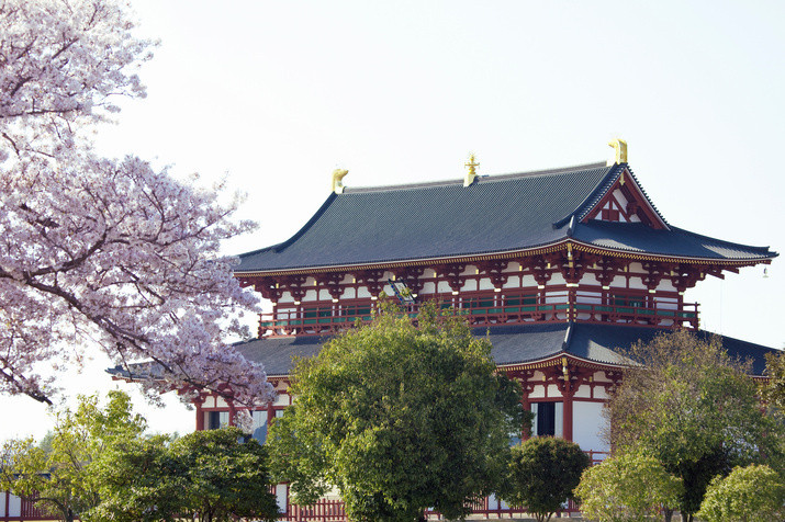 Half-day (AM) Western Nara Tour: World Heritage Temples and Former Capital Site