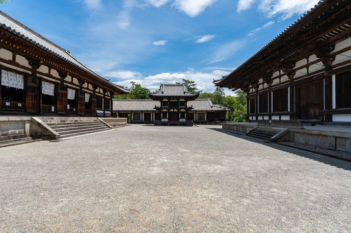 Morning Western Nara Tour: World Heritage Temples and Former Capital Site