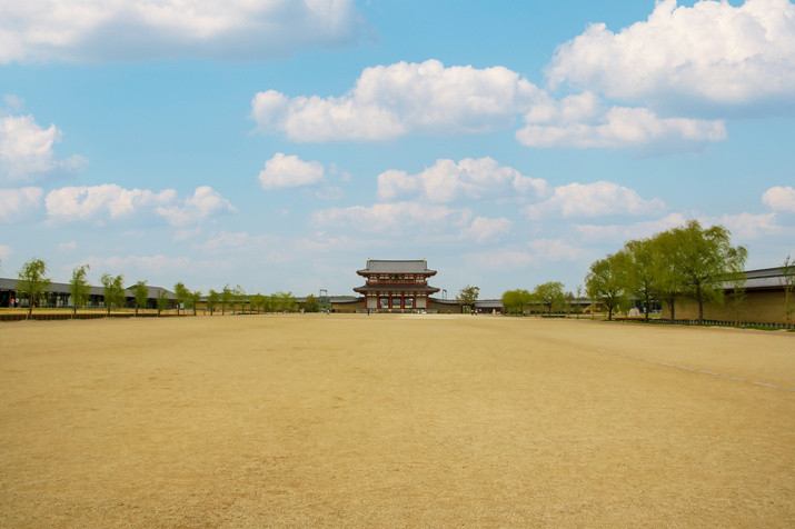 Morning Western Nara Tour: World Heritage Temples and Former Capital Site