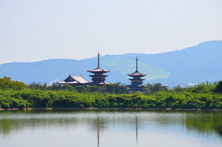 Morning Western Nara Tour: World Heritage Temples and Former Capital Site