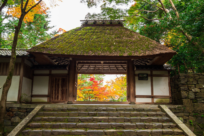 1-day Kyoto Tour: Philosopher’s Path and Picturesque Temples