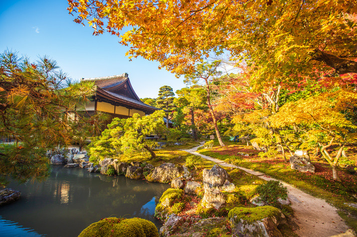 1-day Kyoto Tour: Philosopher’s Path and Picturesque Temples