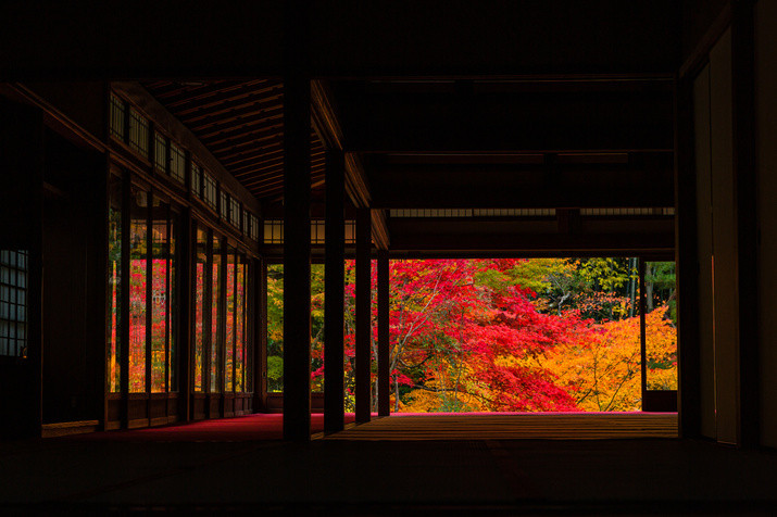 1-day Kyoto Tour: Philosopher’s Path and Picturesque Temples