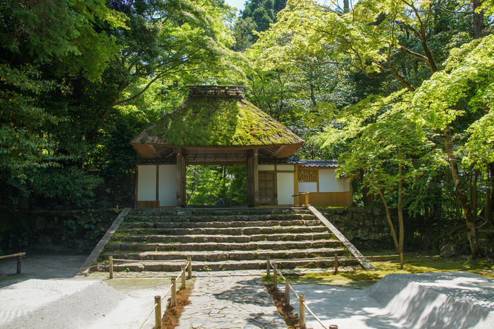 1-day Kyoto Tour: Philosopher’s Path and Picturesque Temples