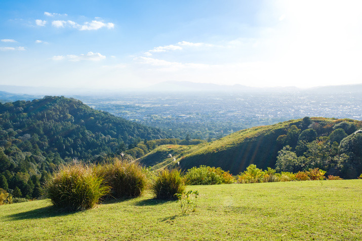 3/20 - 11/30 Only! Half-day (AM) Nara Hiking Tour: Unveiling Kasuga Taisha and Mt. Wakakusa Hike