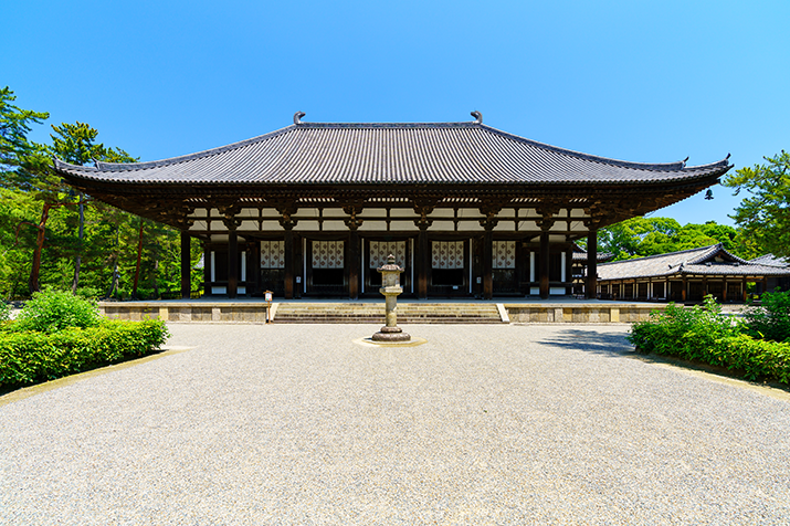 Half-day (AM) Nara Tour: World Heritage Temples and Sacred Deer