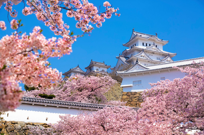 1-day Himeji Tour: World Heritage Castle and The Last Samurai Temple