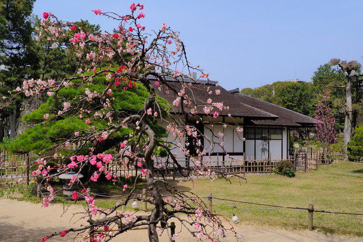 Morning Tour: Exploring Hiroshima's Peace and Tranquility