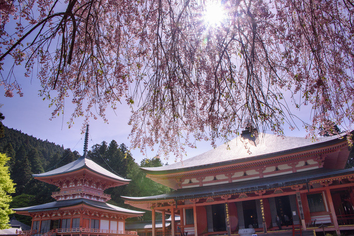 1-day Shiga Tour: World Heritage Temple, Cozy Priest Lodge, and Sacred Shrine