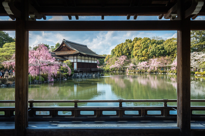 Morning Kyoto Cherry Blossom Tour: Garden, Riverside Walk, Gion Geisha District