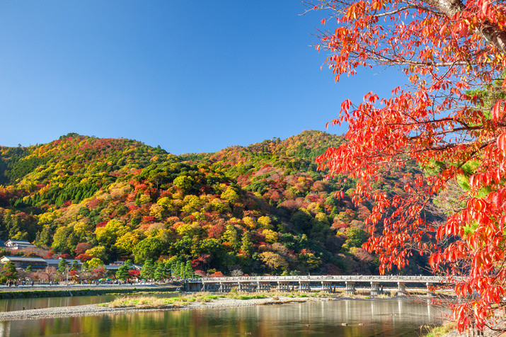 Half-day (AM) Western Kyoto Tour: Movie Star's Villa and Bamboo Forest