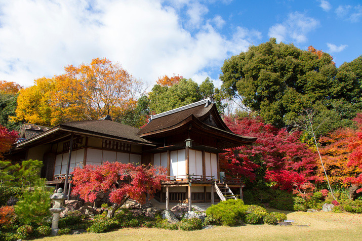 Half-day (AM) Western Kyoto Tour: Movie Star's Villa and Bamboo Forest