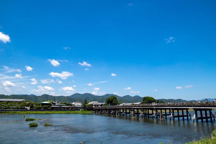 Morning Western Kyoto Tour: Movie Star's Villa and Bamboo Forest