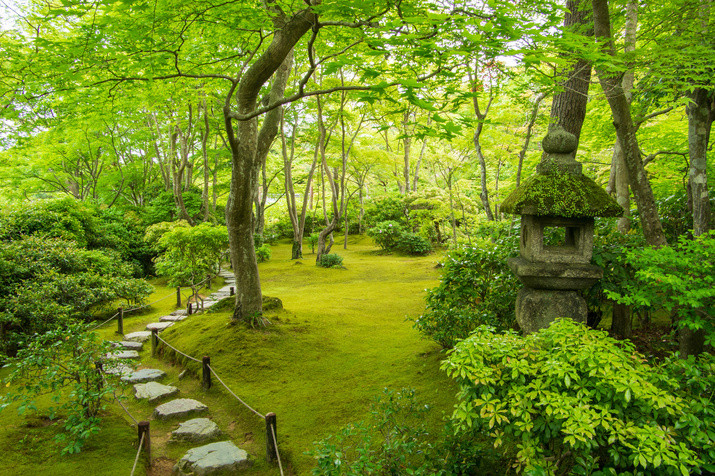 Half-day (AM) Western Kyoto Tour: Movie Star's Villa and Bamboo Forest