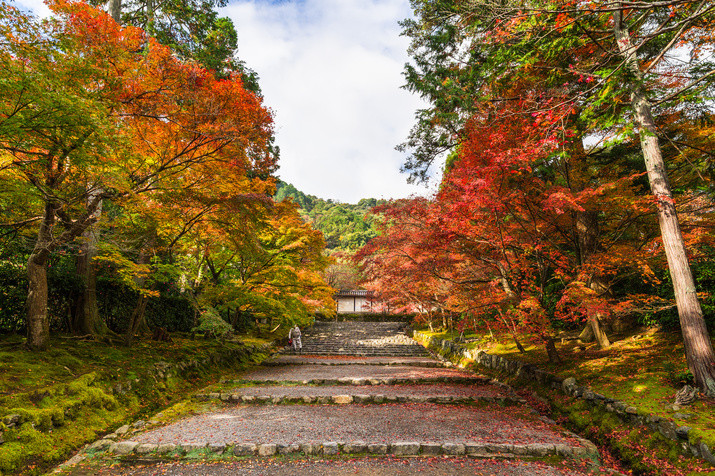 1-day Western Kyoto Tour: World Heritage Sites and Bamboo Forest