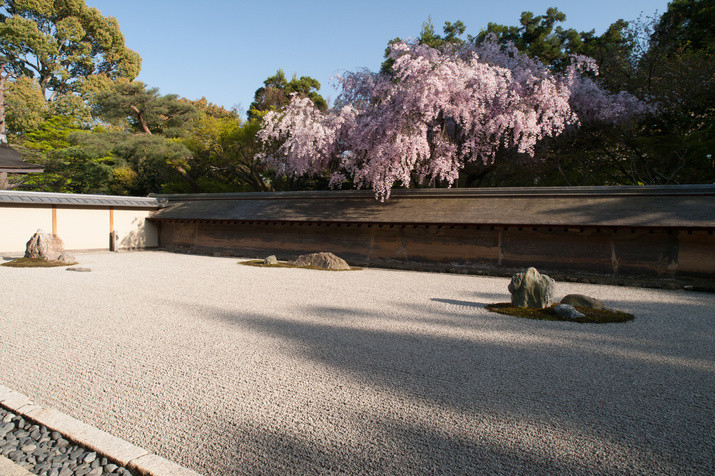 1-day Western Kyoto Tour: World Heritage Sites and Bamboo Forest