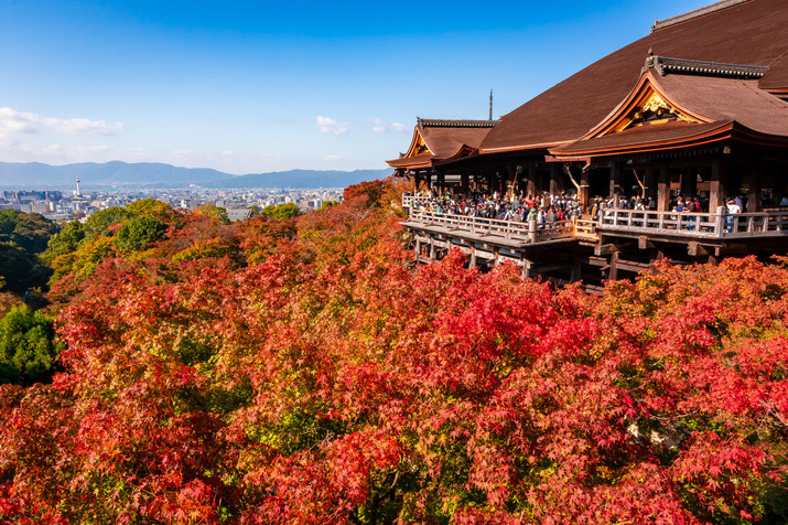 1-day Eastern Kyoto Tour: Always the Most Popular Tourist Destinations