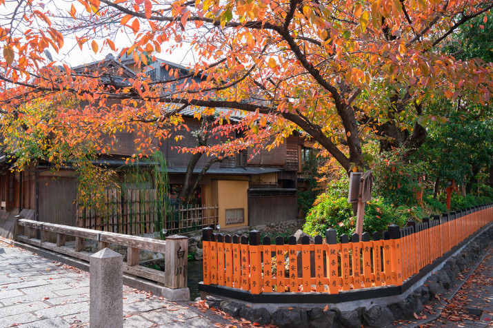 1-day Eastern Kyoto Tour: Always the Most Popular Tourist Destinations