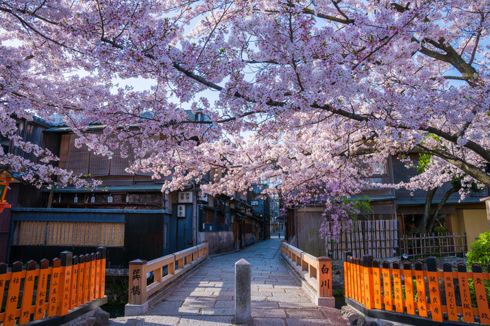 1-day Eastern Kyoto Tour: Always the Most Popular Tourist Destinations