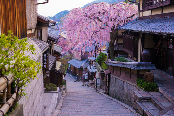 1-day Eastern Kyoto Tour: Always the Most Popular Tourist Destinations