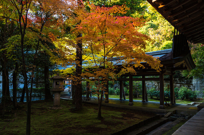 1-day Kyoto Must-Visit Tour: World Heritage Sites and Gion Geisha District