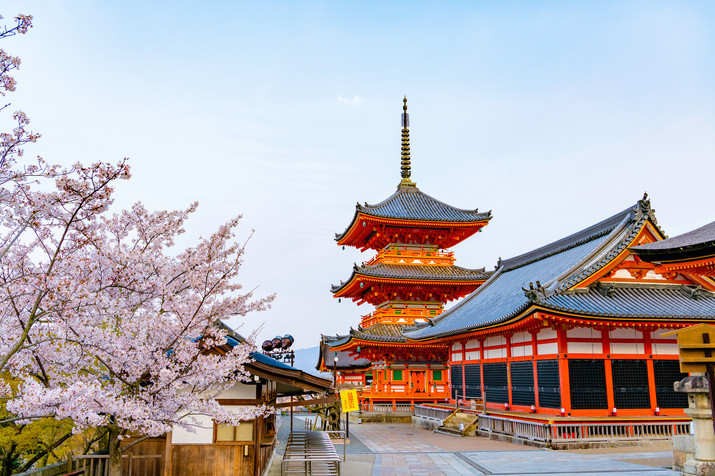 1-day Kyoto Must-Visit Tour: World Heritage Sites and Gion Geisha District