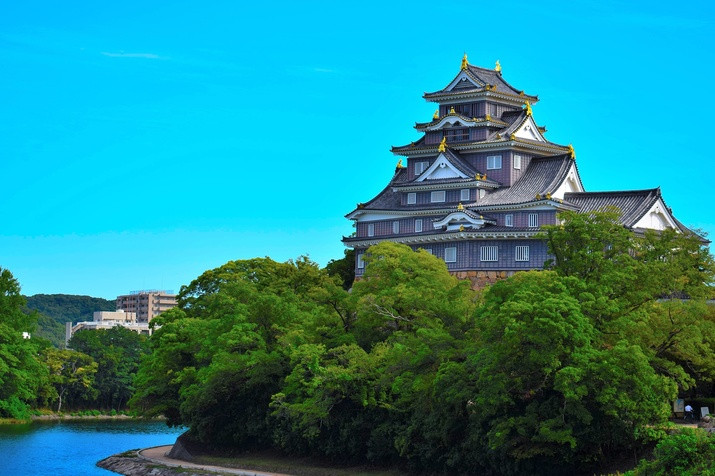 1-day Okayama Tour: Castle, Garden, and Historical Quarter